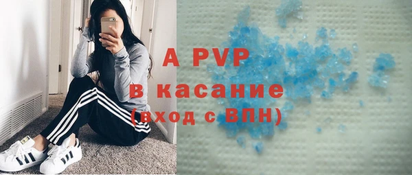ПСИЛОЦИБИНОВЫЕ ГРИБЫ Вяземский